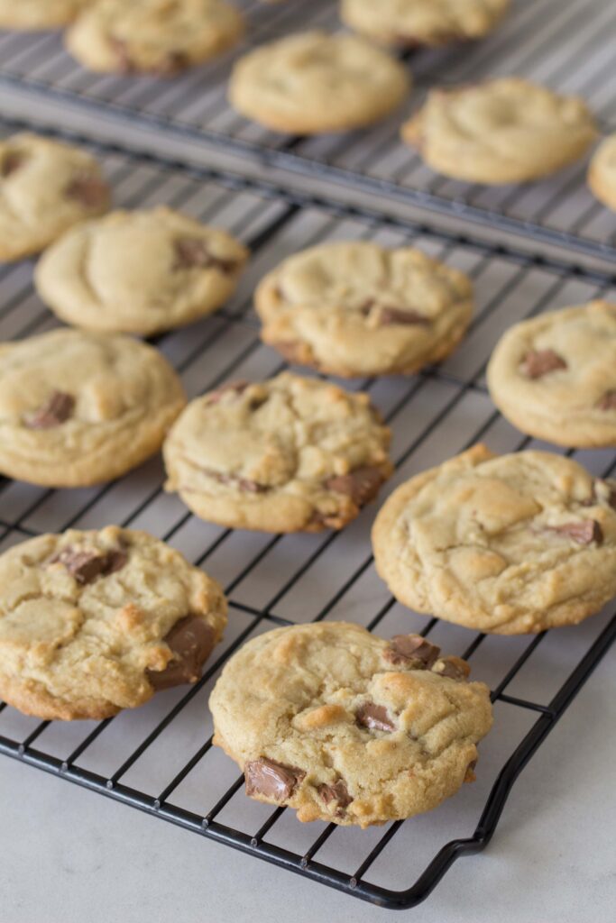 famous chocolate chip cookies