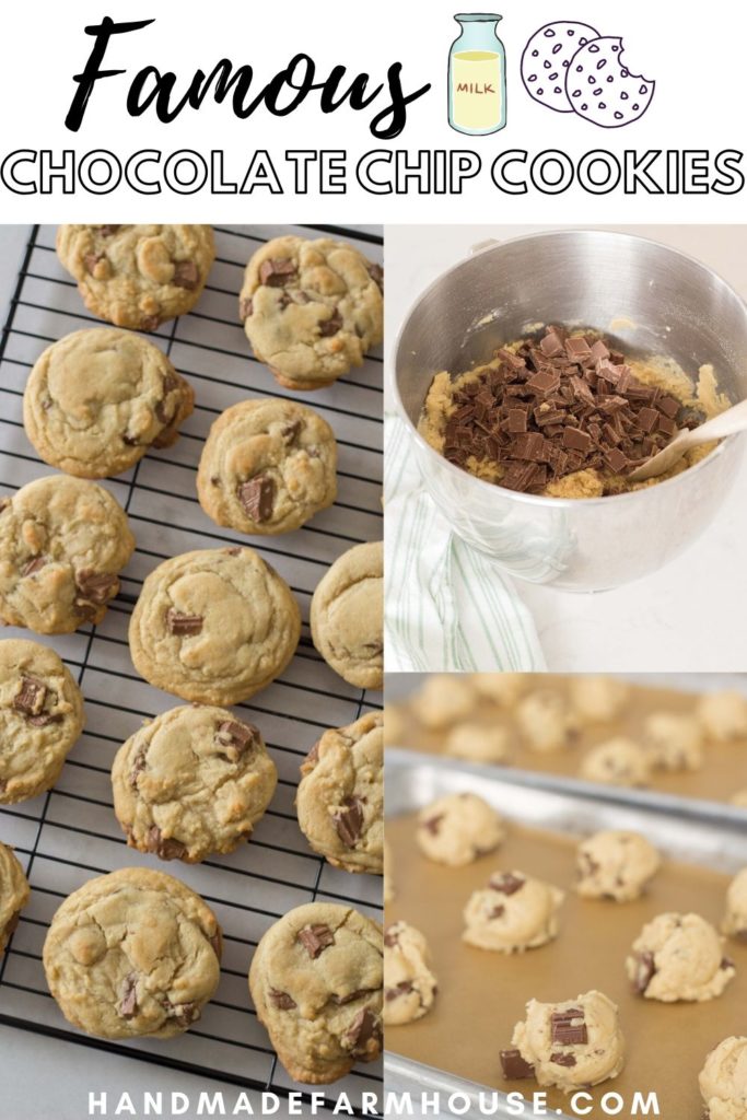 Famous chocolate chip cookie pin