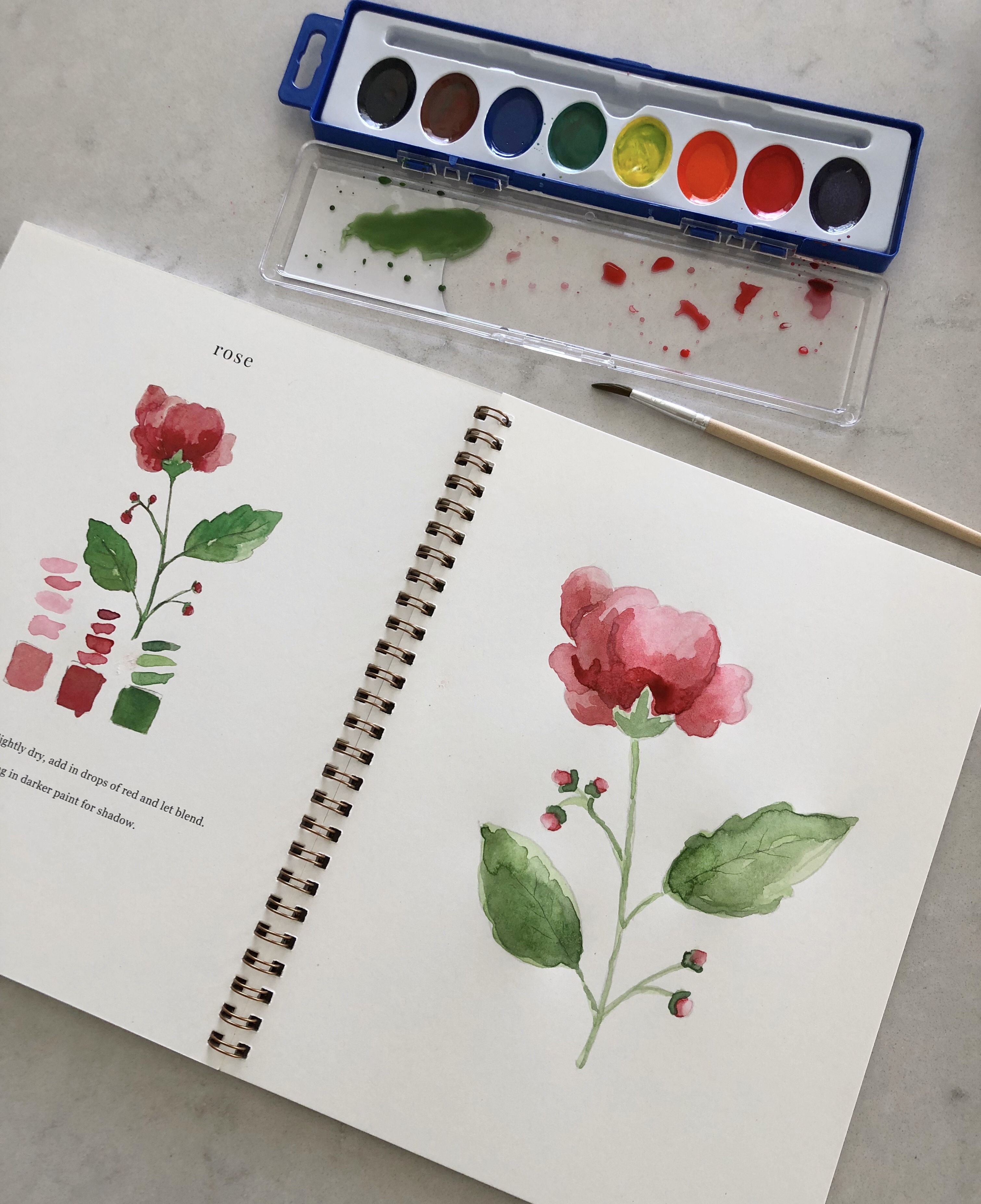 Beginner Basics in Watercolor • 1-Day Painting Workshop