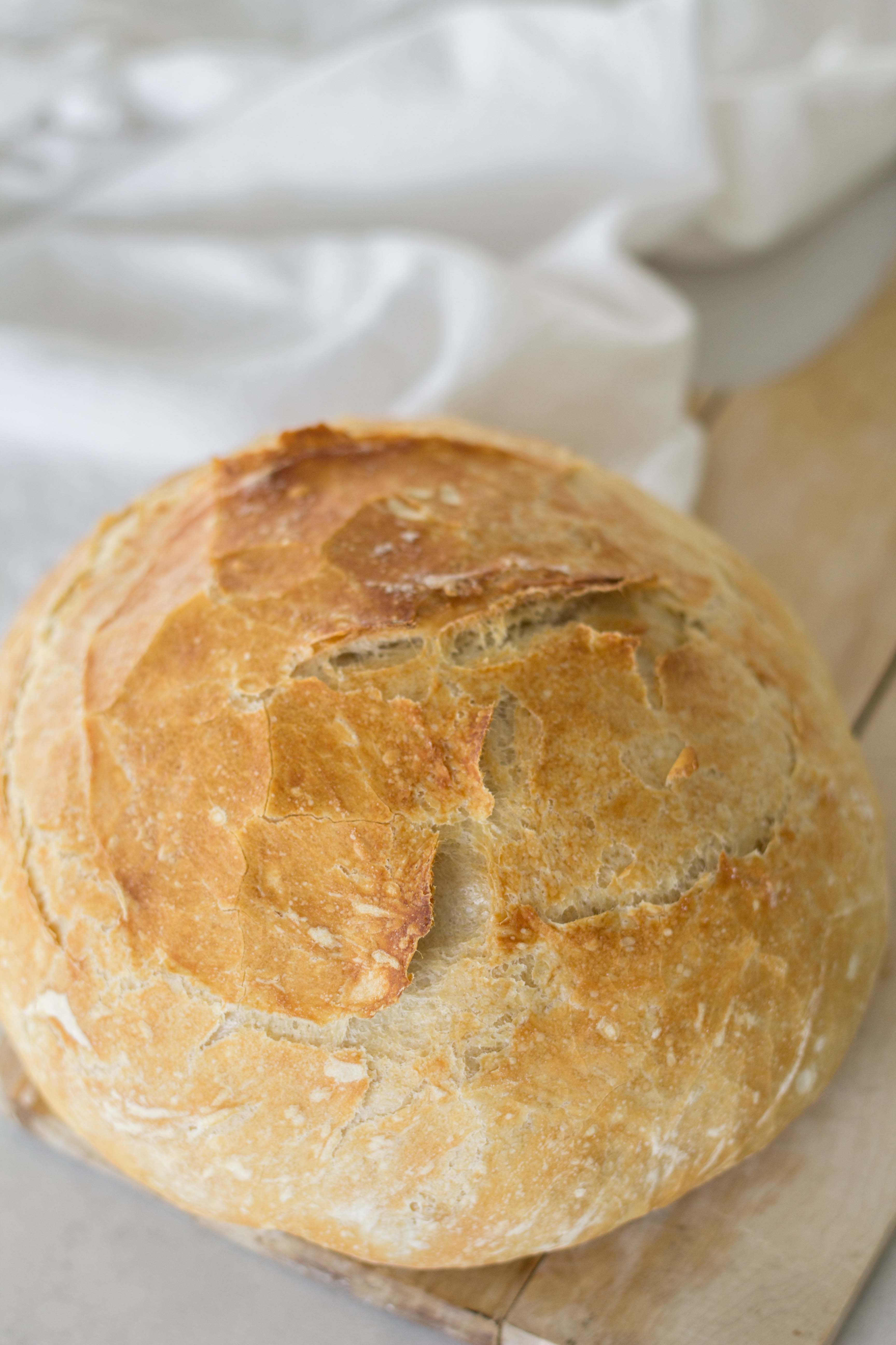 Artisan Bread: THE EASY WAY
