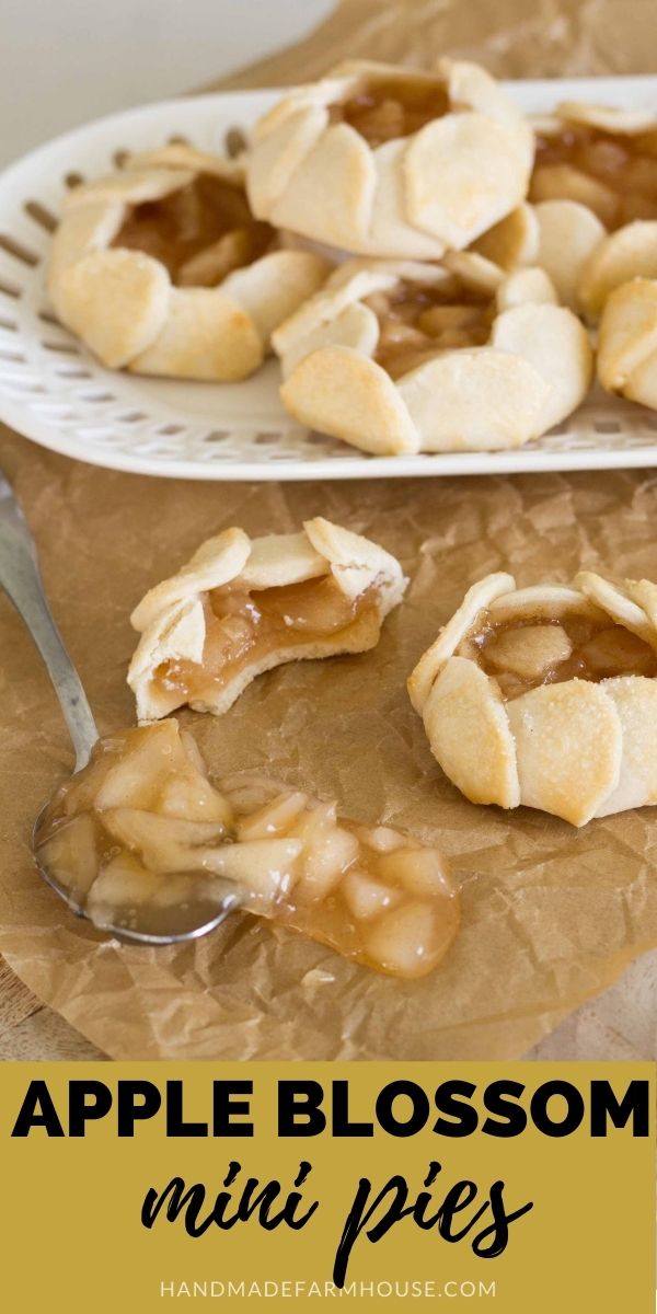 apple blossom mini pies