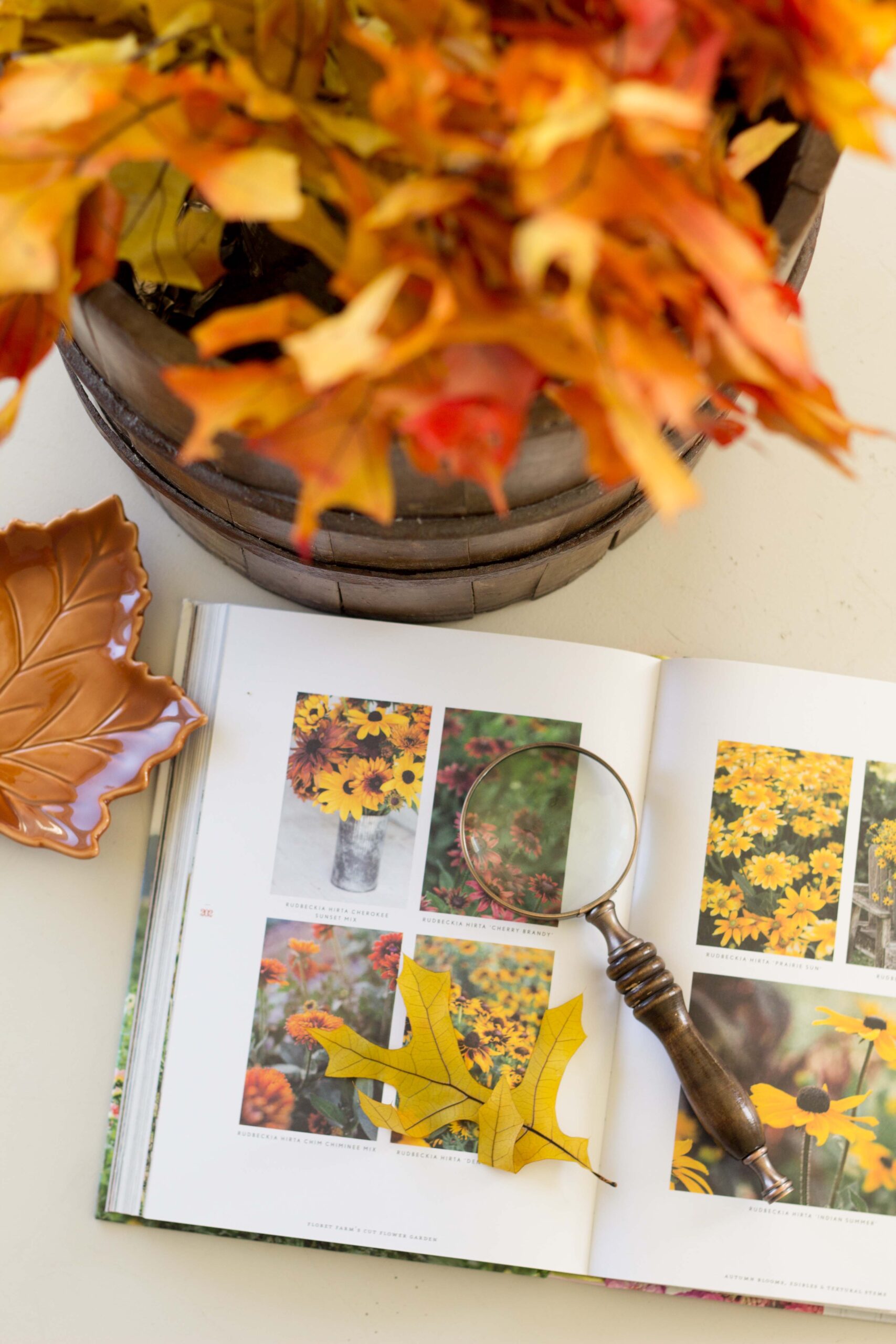 15 Fall Hygge Ideas for Home