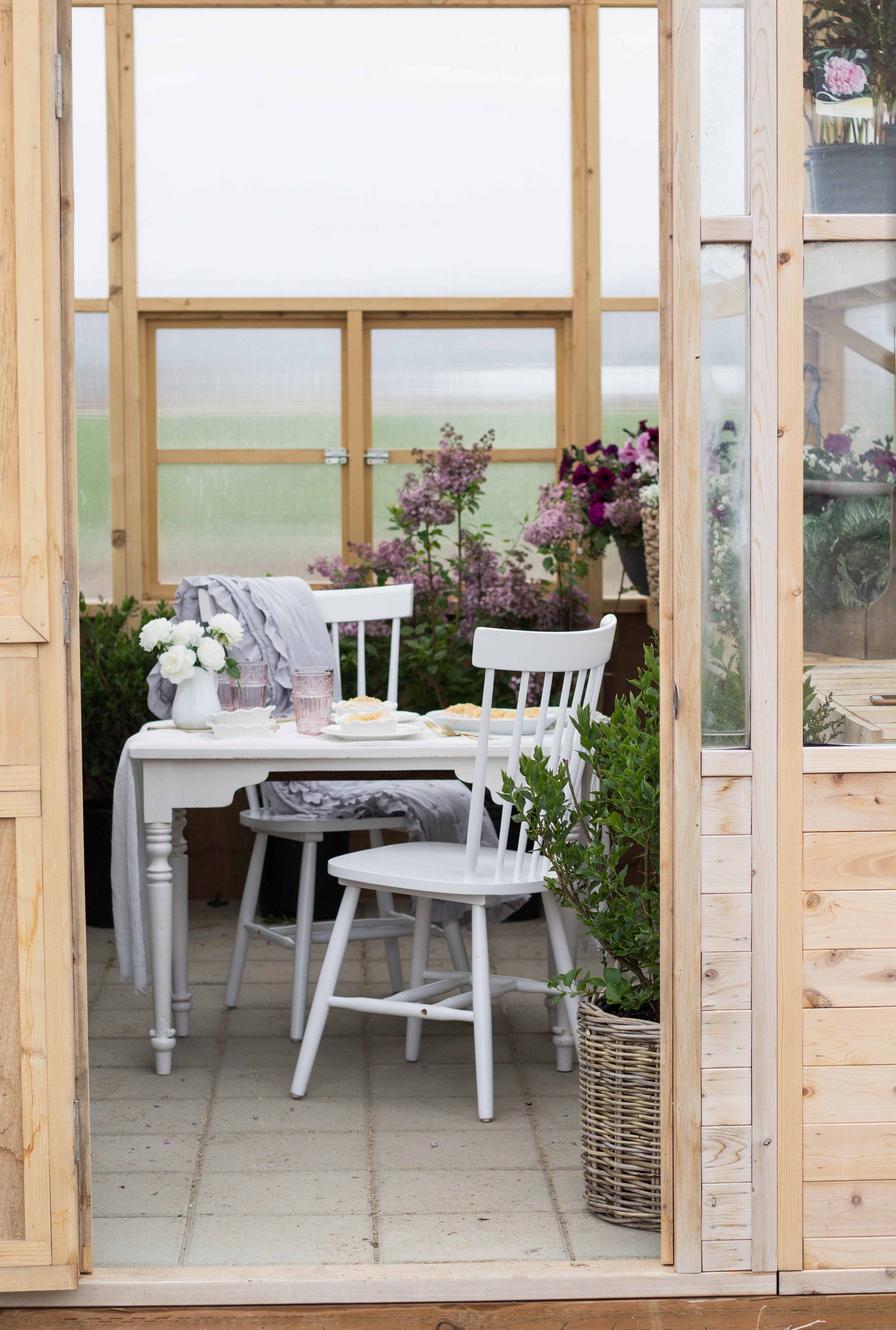 spring picnic in the greenhouse