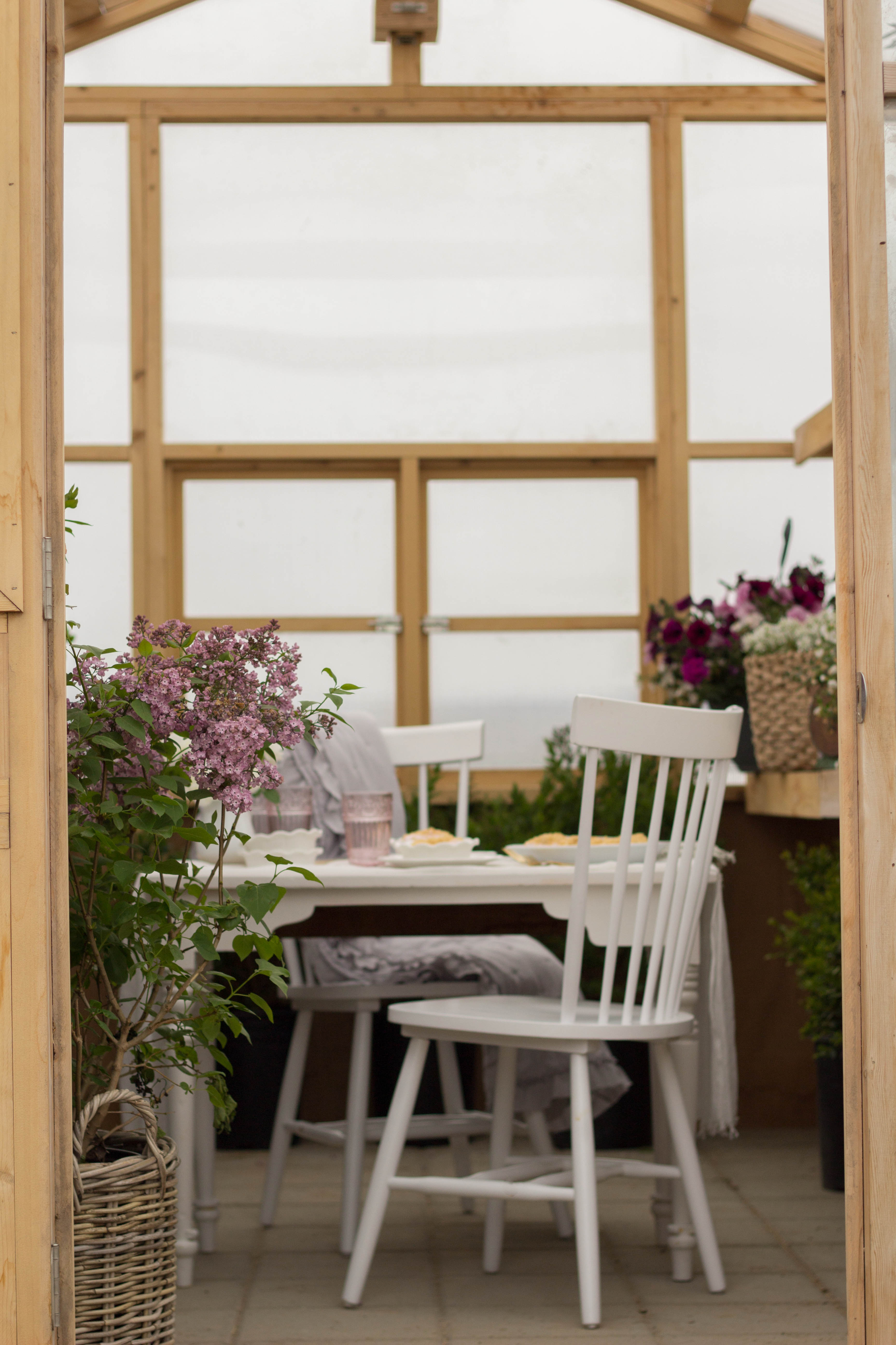 Spring Picnic in the Greenhouse