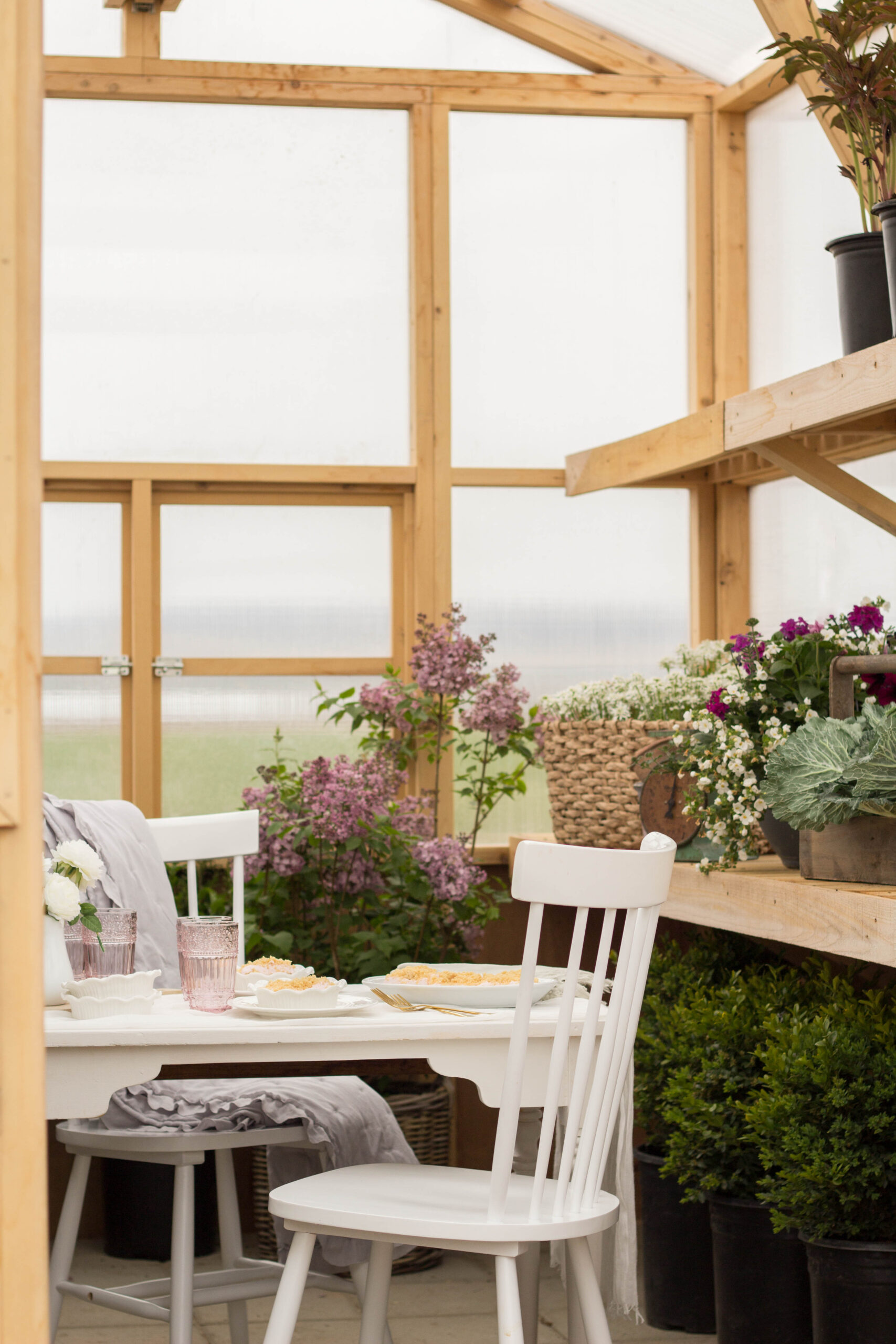 spring picnic in the greenhouse