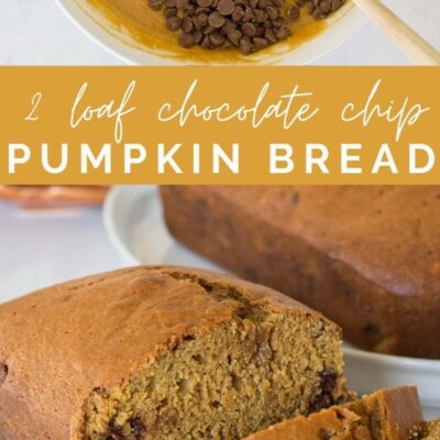 (2 Loaf) Chocolate Chip Pumpkin Bread