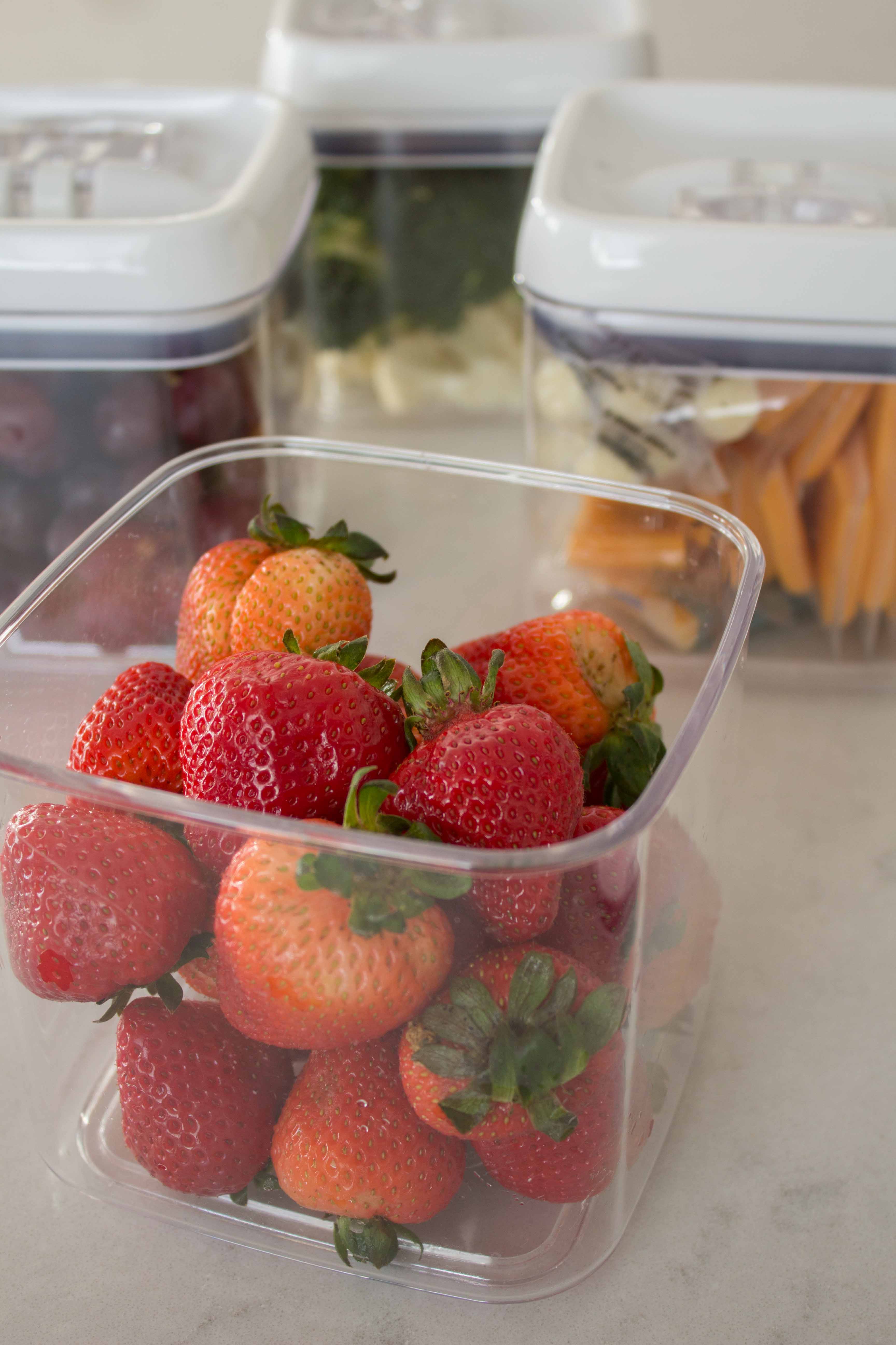 Food Storage Containers You'll Love