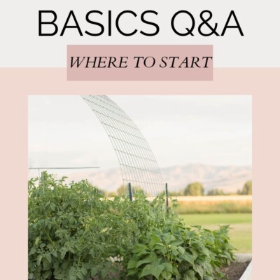 Gardening Basics Q and A