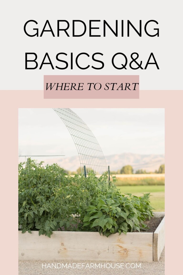 Gardening Basics Q and A