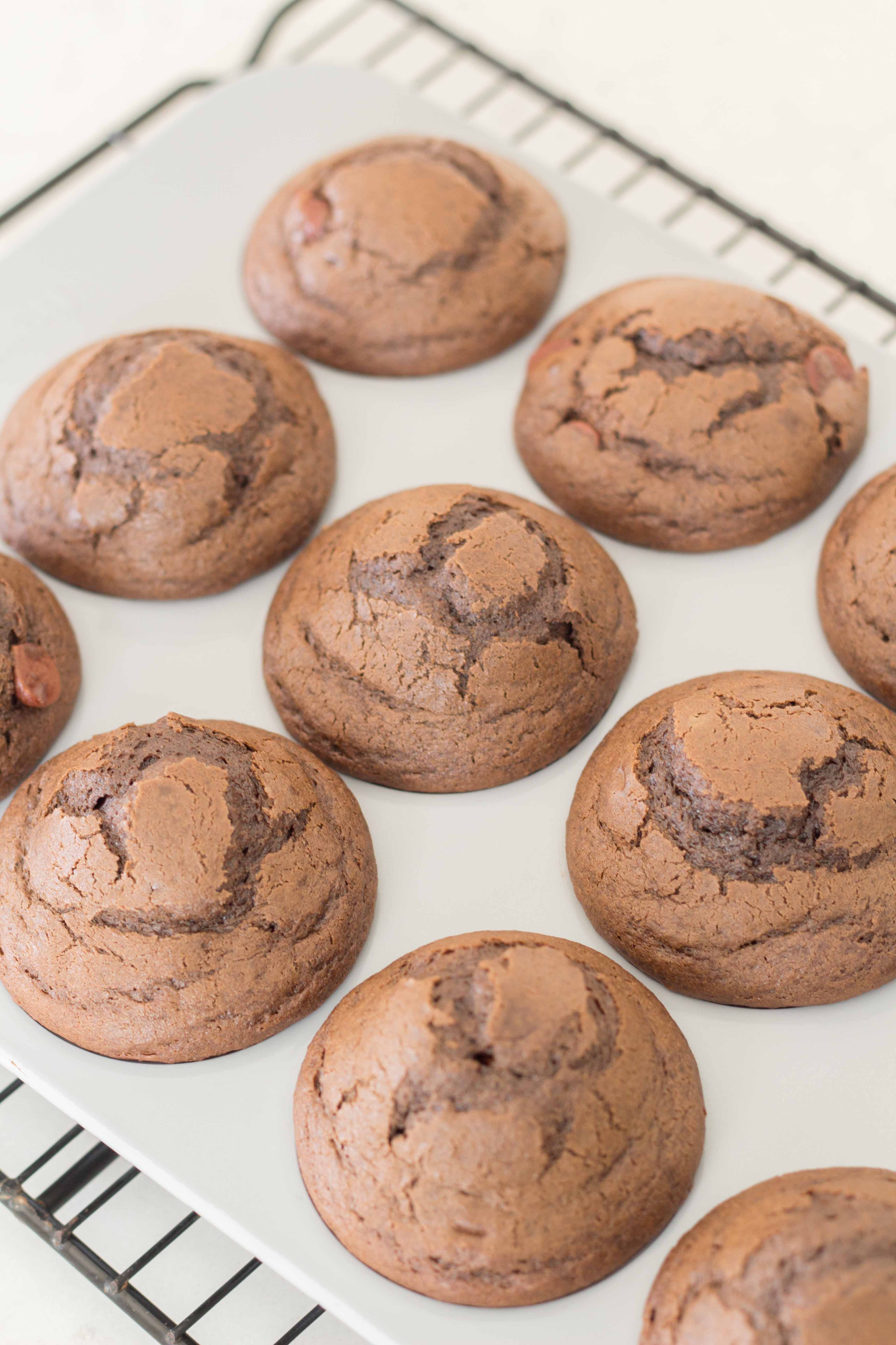 Delicious Double Chocolate Muffins