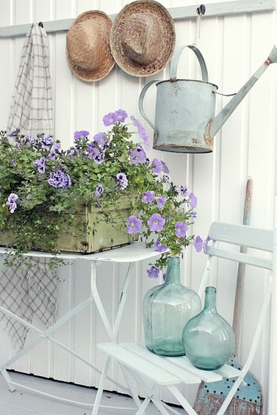 Greenhouse and Potting Shed Inspiration