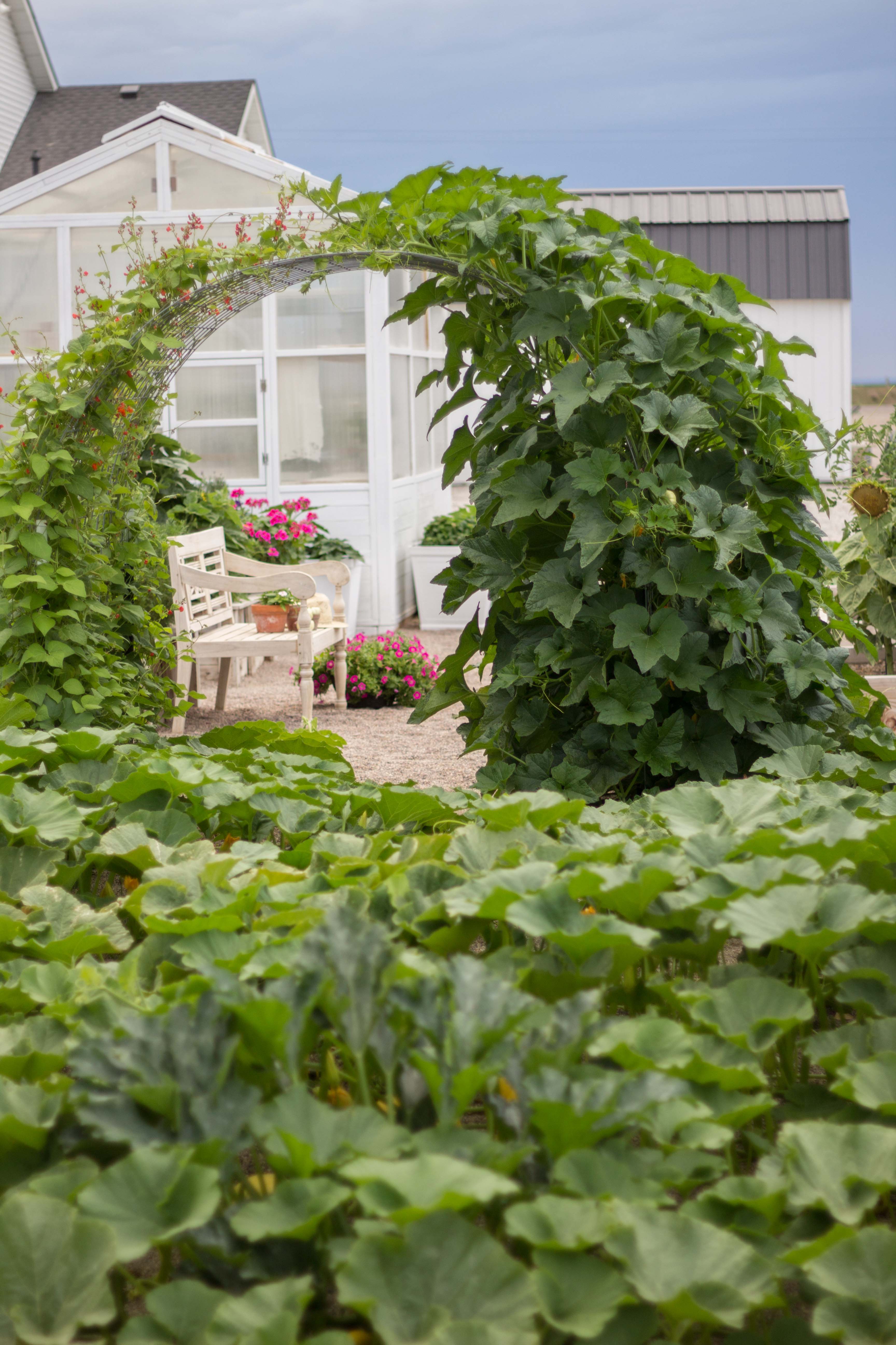 August Garden and Greenhouse Tour