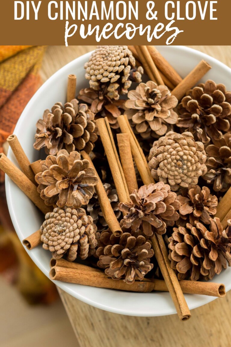DIY Cinnamon and Clove Pinecones