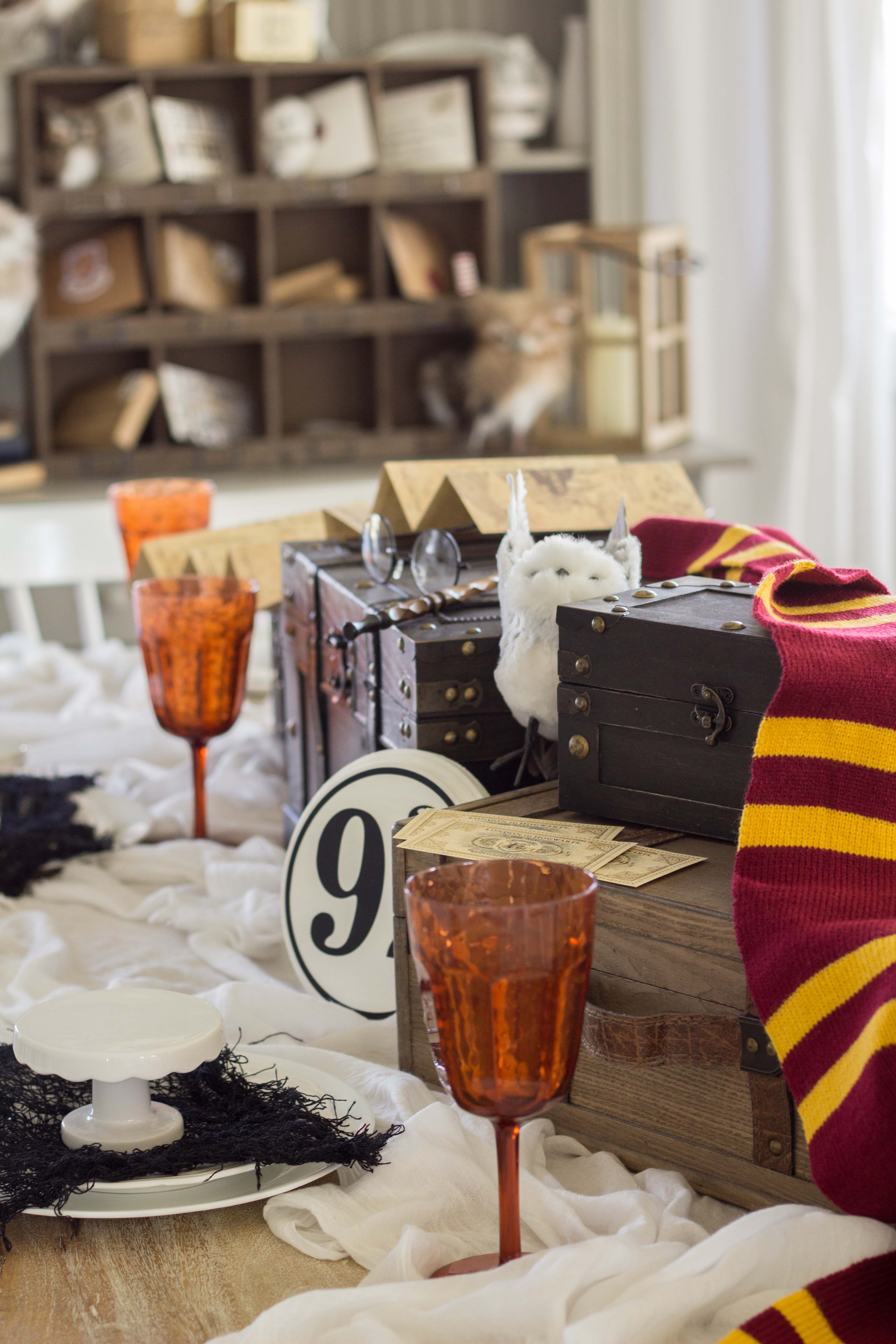 Harry Potter Home Decor For Adults