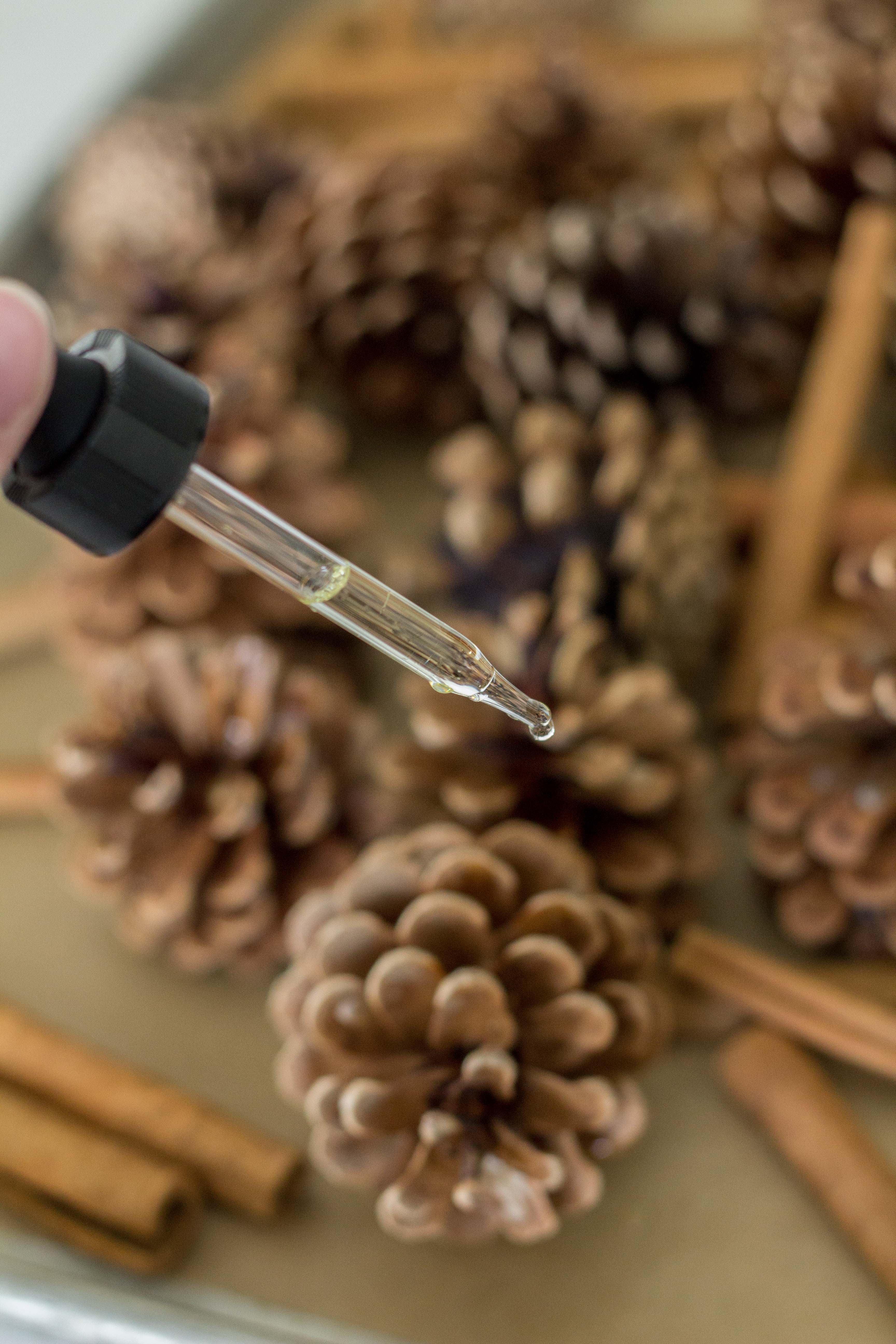 DIY Cinnamon-Scented Pine Cones