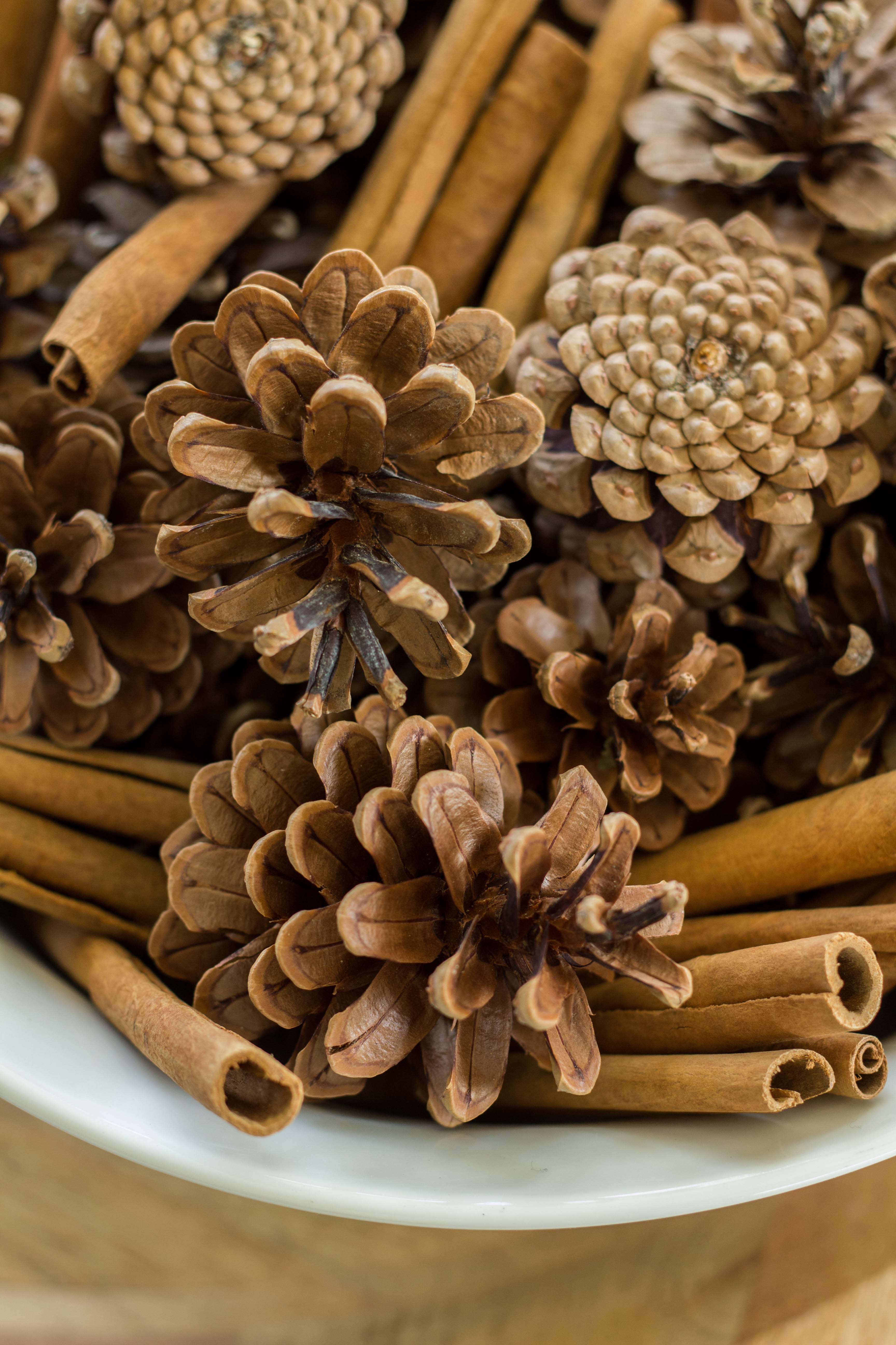 DIY Cinnamon and Clove Pinecones