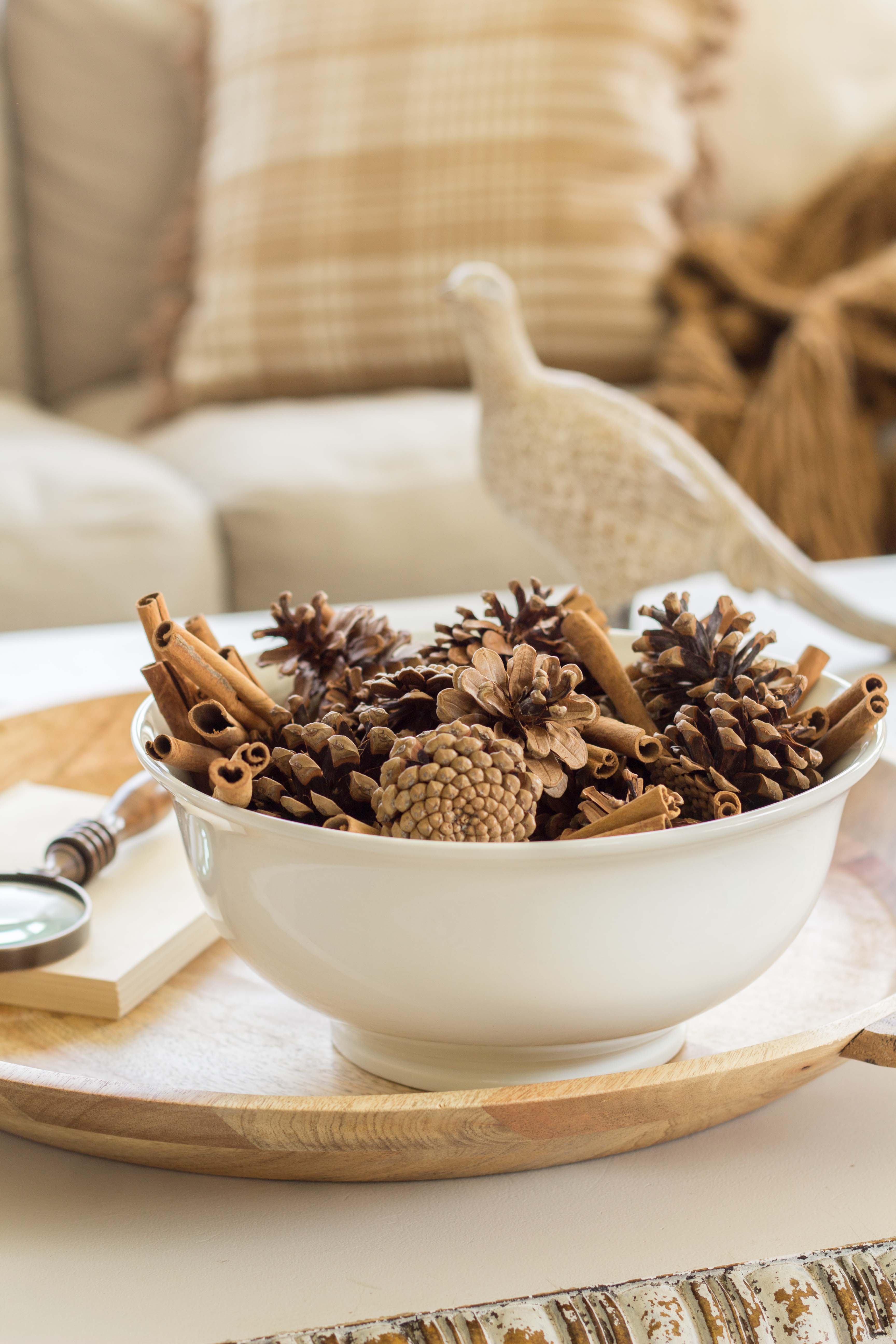 Make Your Own Cinnamon Scented Pine Cones