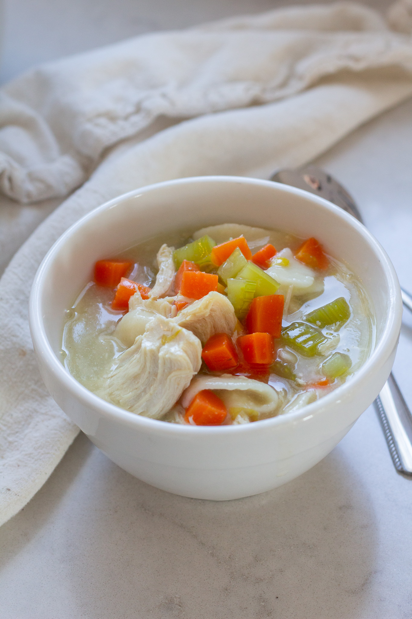 Old Fashioned Bone Broth Chicken Noodle Soup Bowl of soup