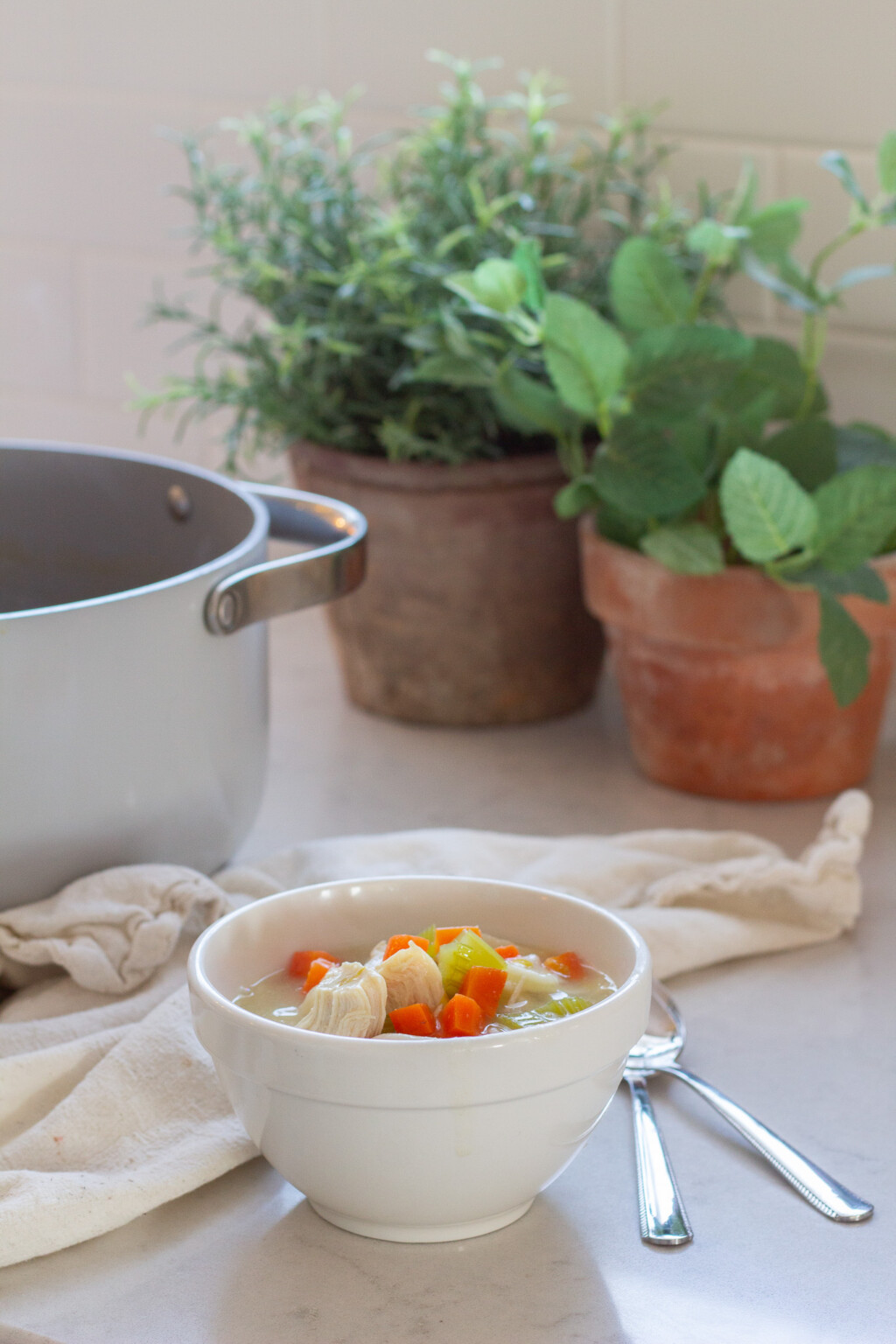 Old Fashioned Bone Broth Chicken Noodle Soup Handmade Farmhouse