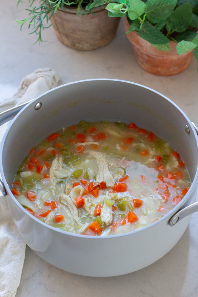 Old Fashioned Bone Broth Chicken Noodle Soup Handmade Farmhouse