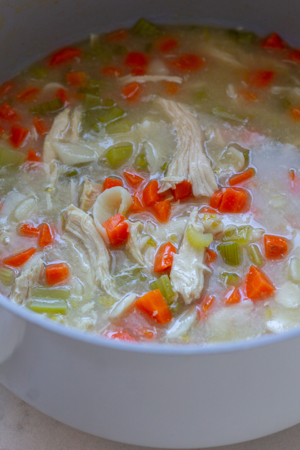 Old Fashioned Bone Broth Chicken Noodle Soup Handmade Farmhouse