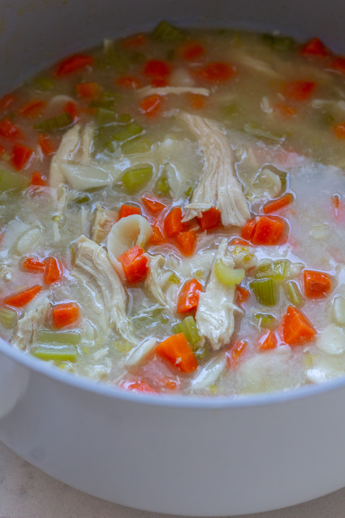 Old Fashioned Bone Broth Chicken Noodle Soup - Handmade Farmhouse