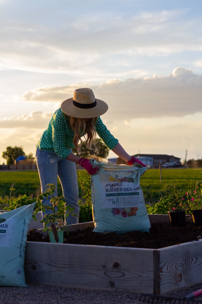 Preparing my Spring Garden Beds for Planting