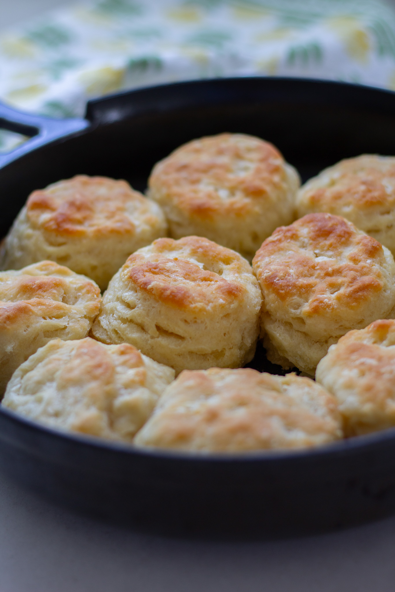 Easy 3 Ingredient Fluffy Biscuits