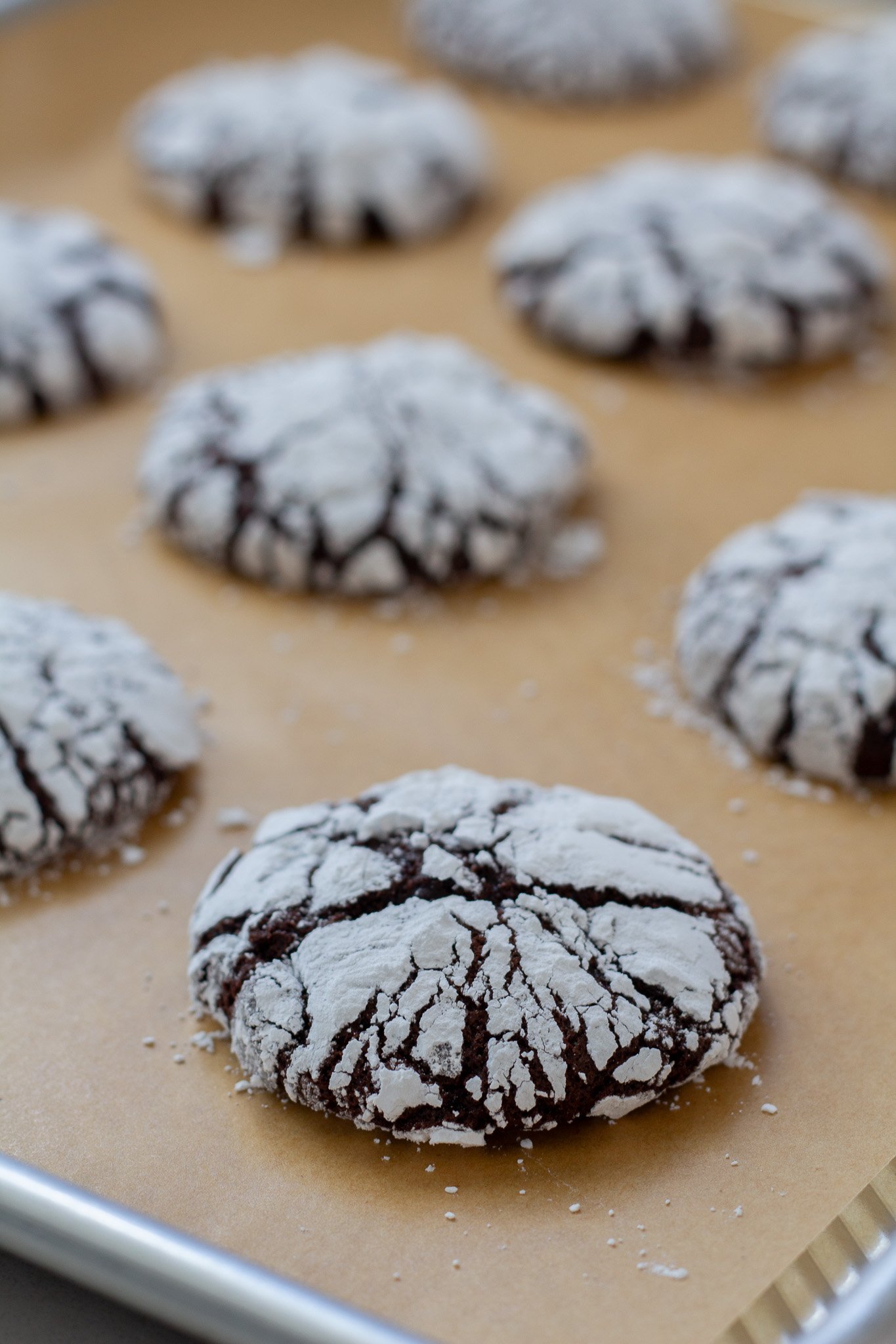 Rich and Chewy Chocolate Crinkle Cookies
