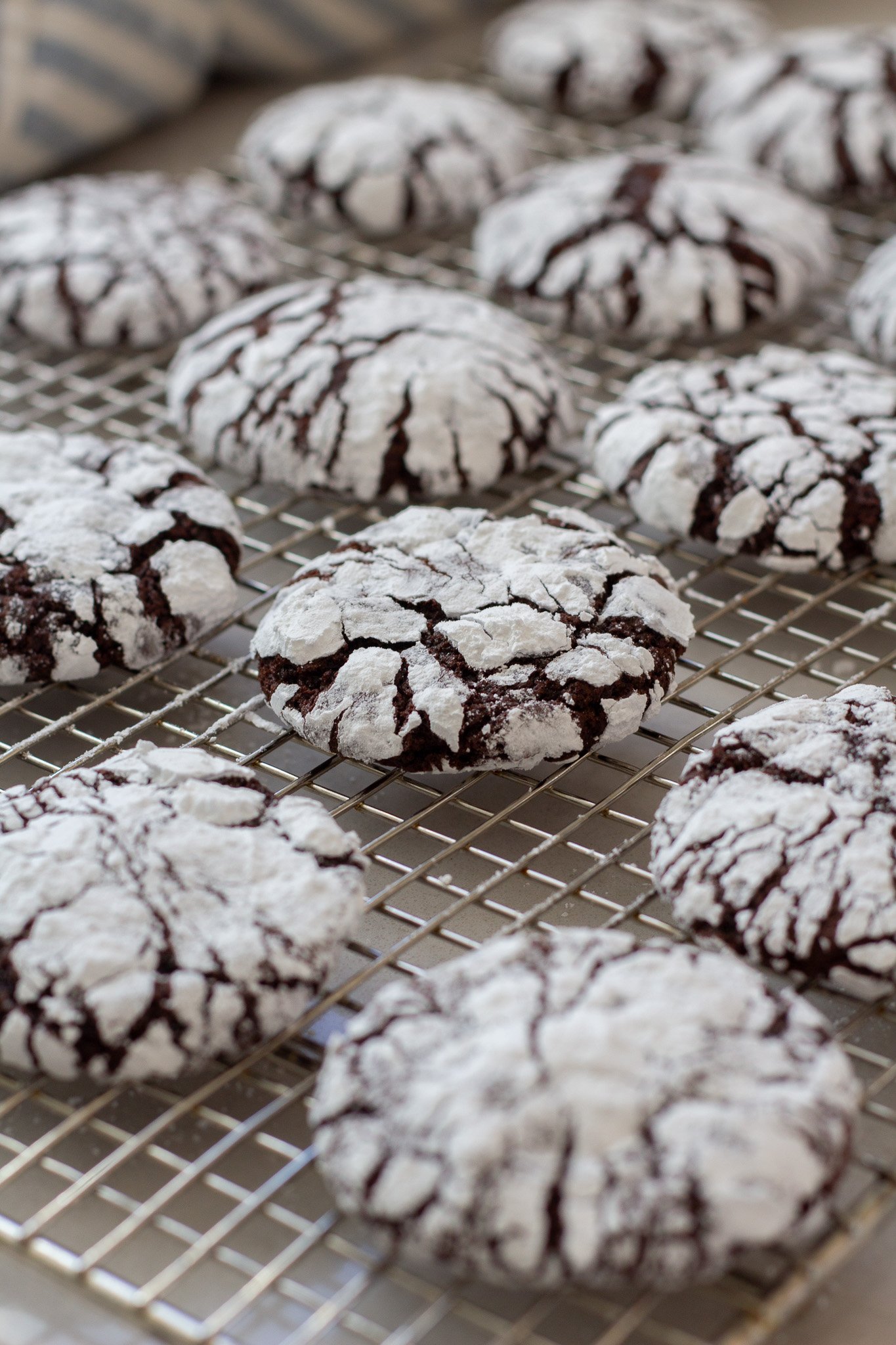 Rich and Chewy Chocolate Crinkle Cookies