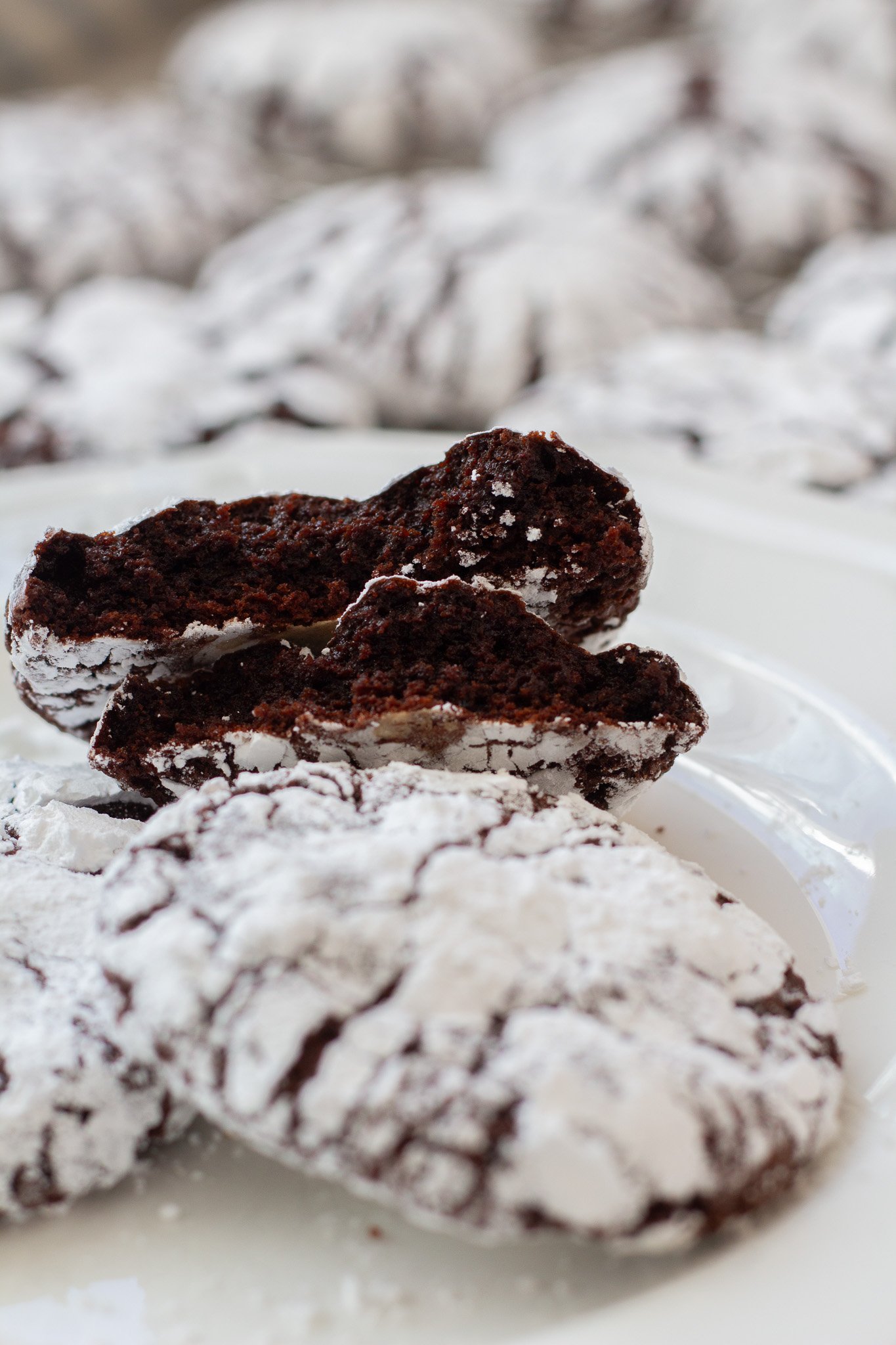 Rich and Chewy Chocolate Crinkle Cookies