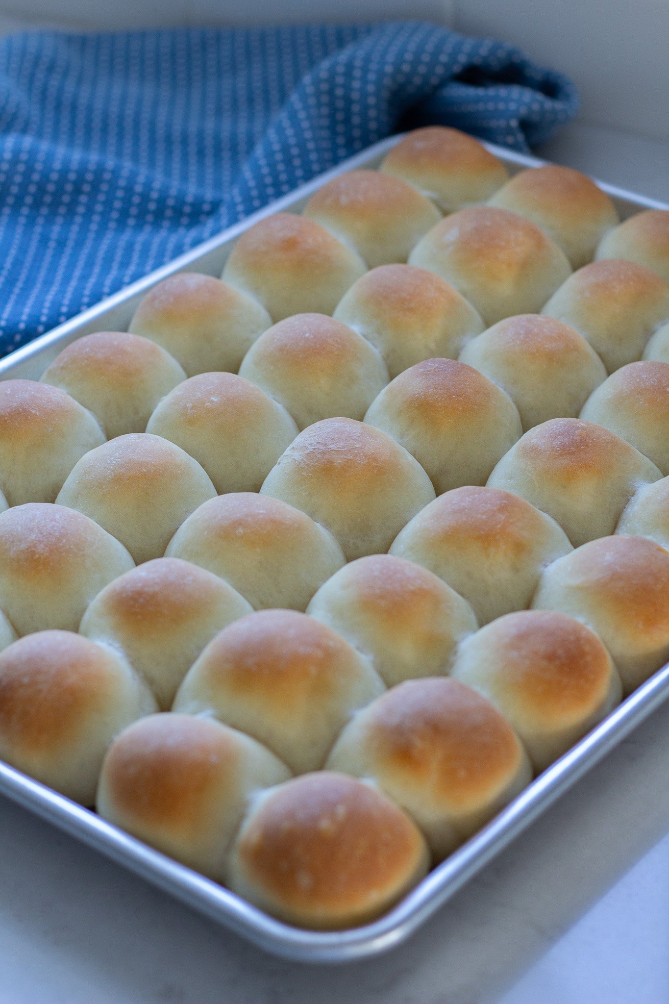 Easy Holiday Dinner Rolls