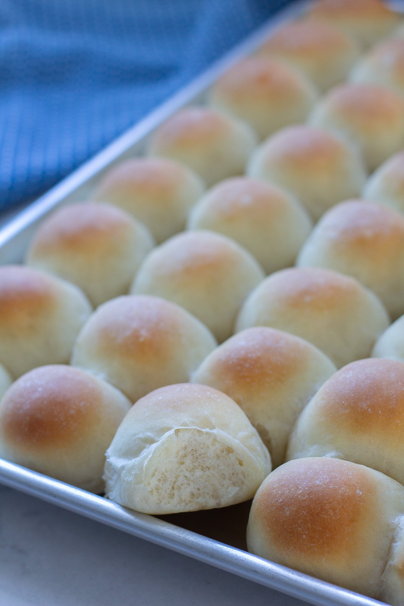 Easy Holiday Dinner Rolls