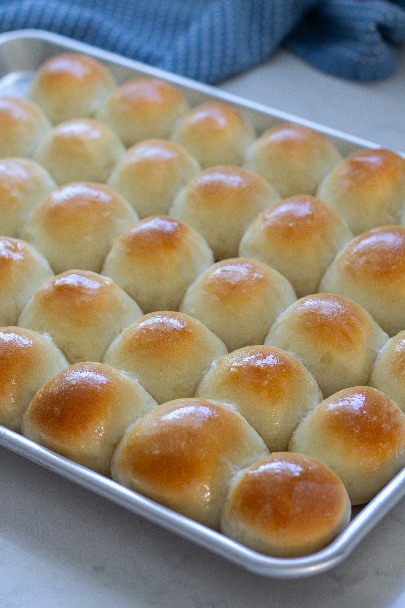 Easy Holiday Dinner Rolls