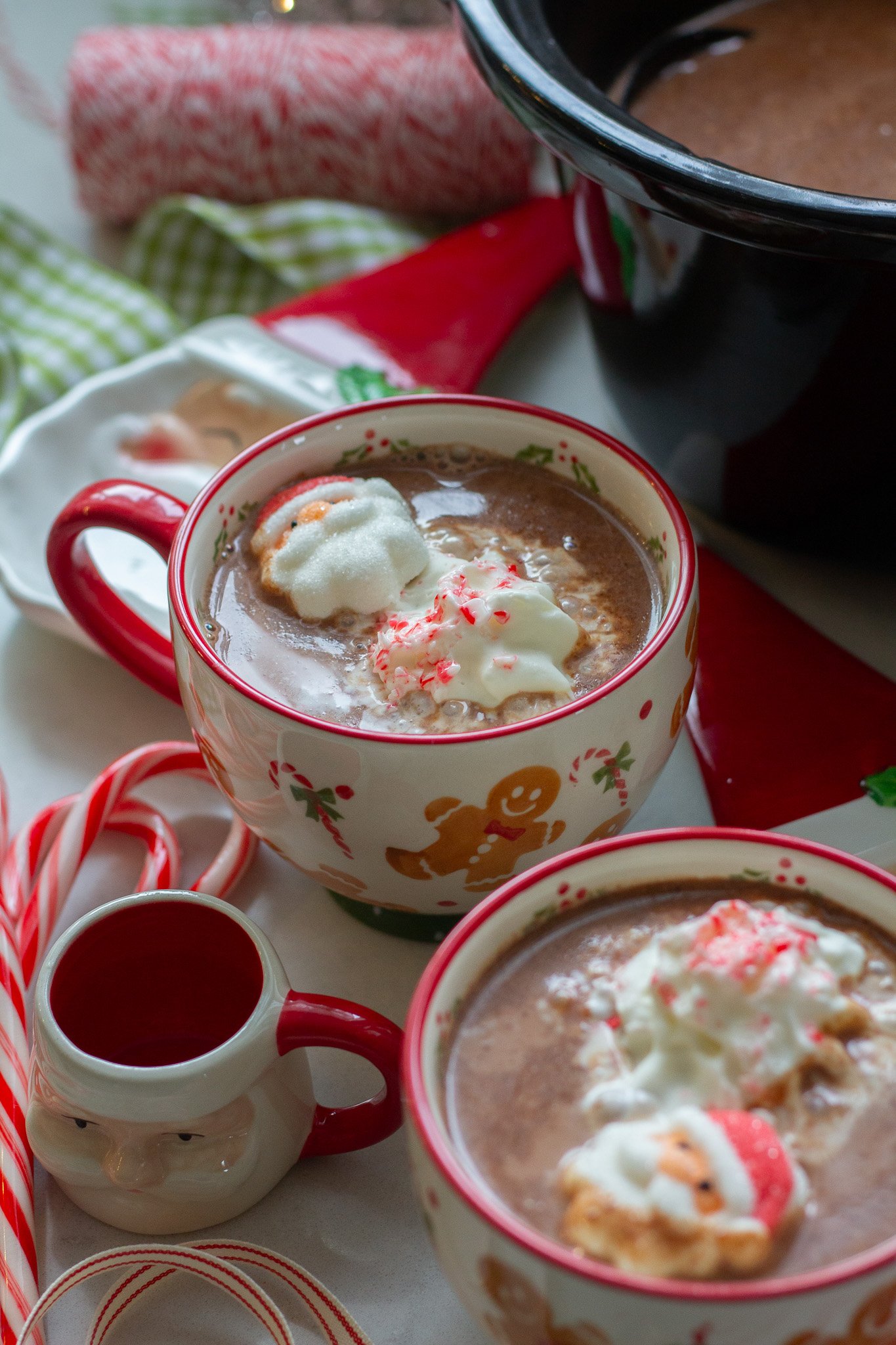 Rich and Creamy Crockpot Hot Cocoa